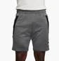 Шорты мужские Nike Air Max Pk Short Grey FV5592-068
