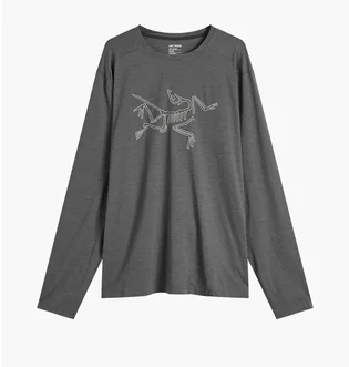 Лонгслив мужской Arc'teryx Cormac Logo Grey X000008452