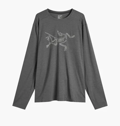 Лонгслив мужской Arc'teryx Cormac Logo Grey X000008452