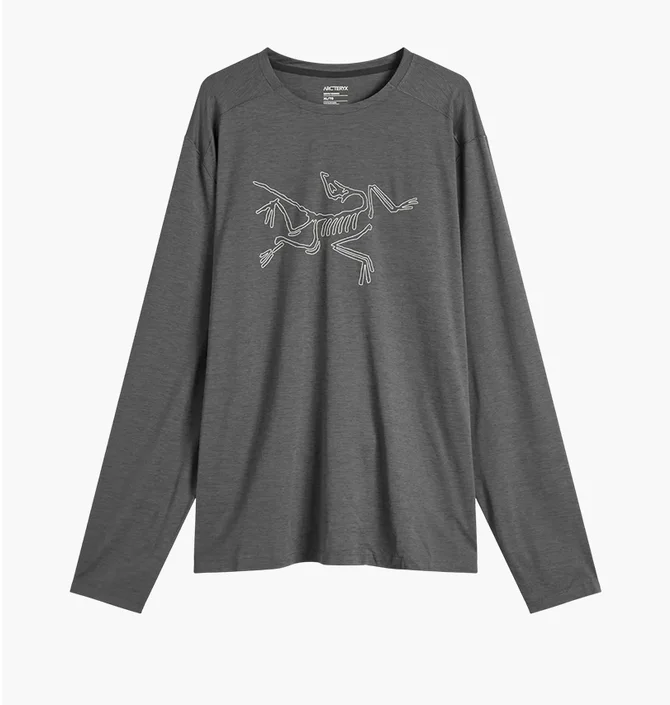 Лонгслив мужской Arc'teryx Cormac Logo Grey X000008452