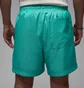 Шорты унисекс Air Jordan Poolsd Lbr 5In Turquoise HF9371-392