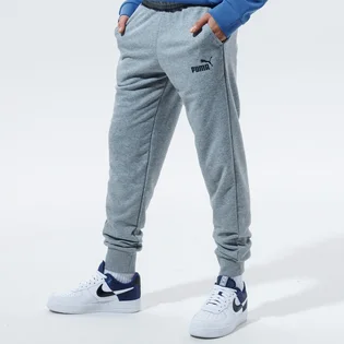 Штаны мужские Puma Ess Logo Tr Cl Grey 58671603