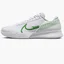 Кроссовки мужские Nike Court Air Zoom Vapor Pro 2 Hard Court Tennis Shoes White DR6191-102