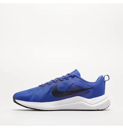Кросівки чоловічі Nike Downshifter 12 Blue DD9293-402