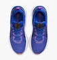 Кросівки жіночі Nike React Infinity 3 Blue Dz3016-400