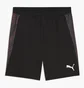 Шорти чоловічі Puma Individualfinal Black 660428-01