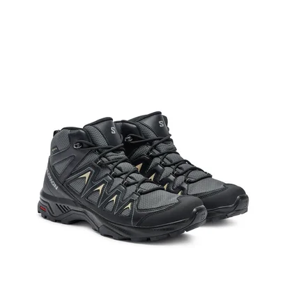 Черевики чоловічі Salomon X Braze Mid Gore-Tex Black L47430500