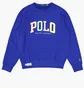 Світшот чоловічий Ralph Lauren Polo Fleece Logo Sweatshirt Blue 710890191003