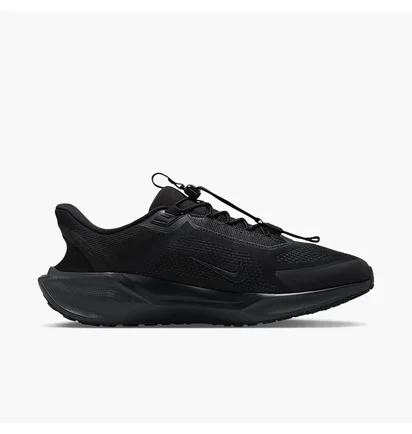 Кроссовки мужские Nike Pegasus Easyon Black FQ7837-001