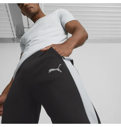 Штаны мужские Puma Evostripe Pants Dk Black 673315-51