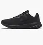 Кросівки жіночі Nike W REVOLUTION 6 DC3729-001