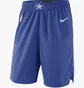 Шорты мужские Nike Nba Swingman Dallas Mavericks Icon Edition Blue AJ5599-480