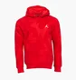 Худи мужское Air Jordan Essential All Over Print Fleece Pullover Hoody Red DQ7507-612