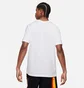 Футболка мужская Nike Rayguns Hbr White Db5948-100