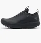 Кроссовки мужские Arc'teryx Norvan Sylan Gtx Black X000009601