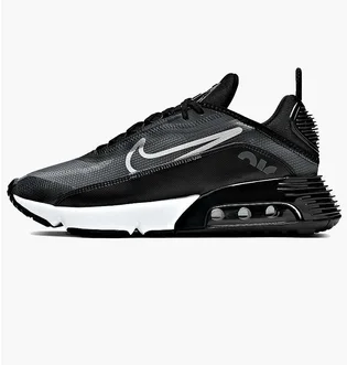 Кроссовки мужские Nike Air Max 2090 Black CW7306-001