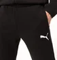 Штани чоловічі Puma Evostripe Core Pants Black 585814 01