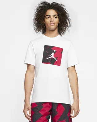 Футболка чоловіча Air Jordan Poolside White CJ6244-100