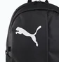 Рюкзак чоловічий Puma Teamgoal Black 077268-03