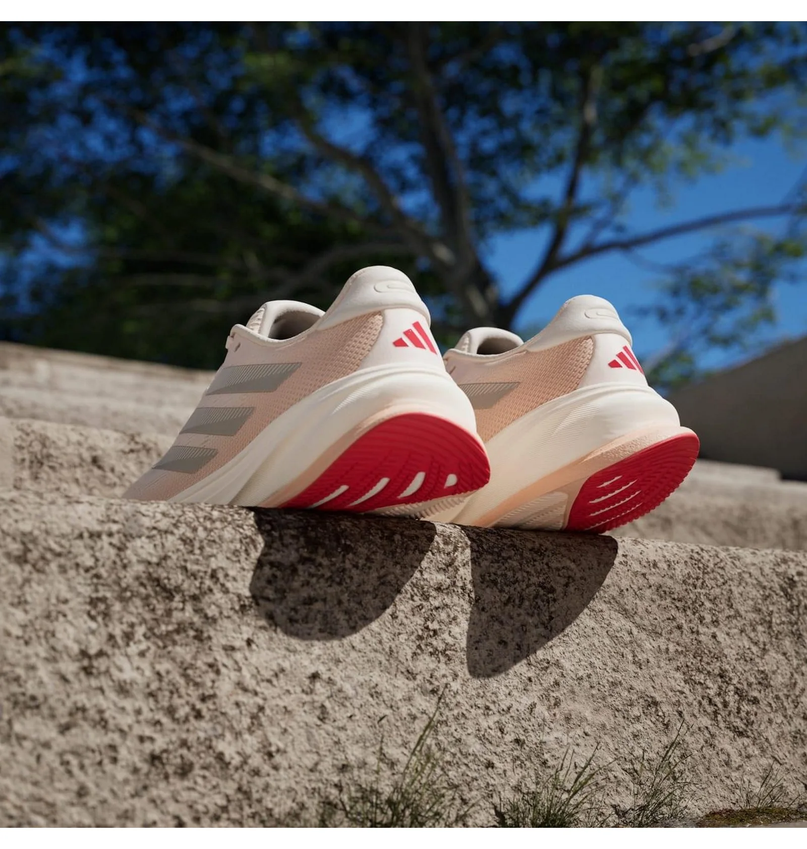 ᐉ Кросівки жіночі Adidas Supernova Rise 2 Running Pink IH8702