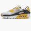 Кроссовки мужские Nike Sportswear Air Max 90 Grey DM0029-103
