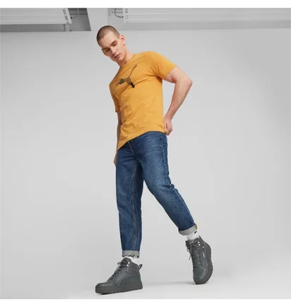 Кроссовки мужские Puma Tarrenz Sb Iii Grey 392628-03