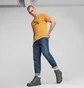 Кроссовки мужские Puma Tarrenz Sb Iii Grey 392628-03