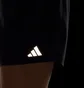 Шорты мужские Adidas Ultimate Black HZ4440