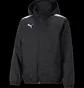 Куртка чоловіча Puma Hooded Jacket Teamliga All Weather Jkt Jr Black 657246-03