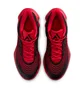 Кроссовки мужские Nike Giannis Immortality 4 Red FQ3680-004