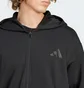 Толстовка чоловіча Adidas All Szn Fleece Full-Zip Black IX1249