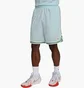 Шорты мужские Nike Dna Dri-Fit 8 Basketball Shorts Light Blue FN2651-474