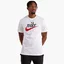Футболка мужская Nike Futura 2 Tee White Dz3279-100