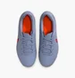 Бутси дитячі Nike Legend 10 Club Fg/Mg Grey DV4352-402