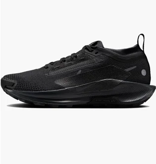 Кроссовки унисекс Nike Pegasus Trail 5 Gore-Tex Black FQ0912-002
