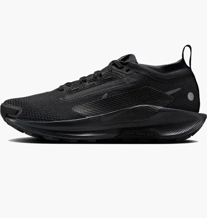 Кросівки унісекс Nike Pegasus Trail 5 Gore-Tex Black FQ0912-002
