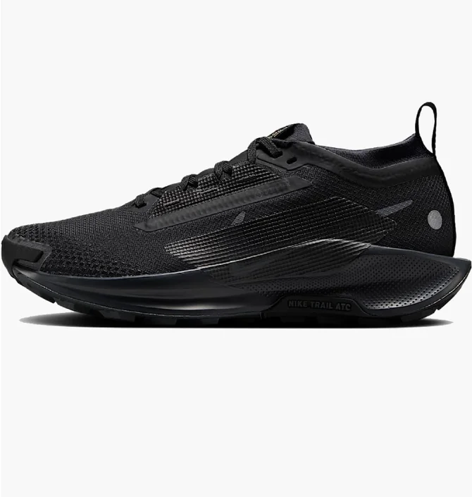 Кросівки унісекс Nike Pegasus Trail 5 Gore-Tex Black FQ0912-002