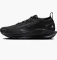 Кросівки унісекс Nike Pegasus Trail 5 Gore-Tex Black FQ0912-002