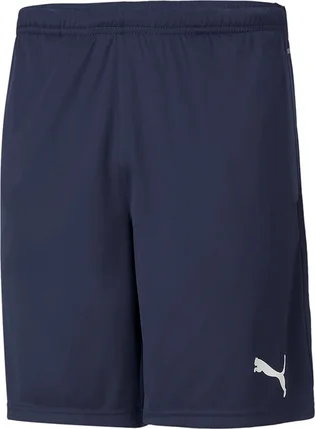 Шорты мужские Puma Teamrise Training Shorts Blue 65733606