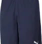 Шорти чоловічі Puma Teamrise Training Shorts Blue 65733606