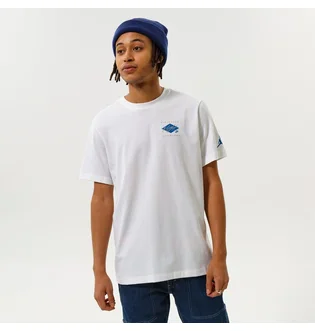 Футболка мужская Air Jordan T-Shirt M J Flt Ess Jdn Air Gfx Crew White DH8968-100
