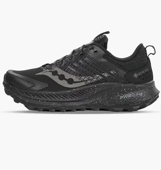 Кроссовки женские Saucony Ride Tr2 Gtx Black S10953-14