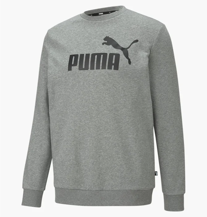 Свитшот мужской Puma Essentials Big Logo Grey 586680-03