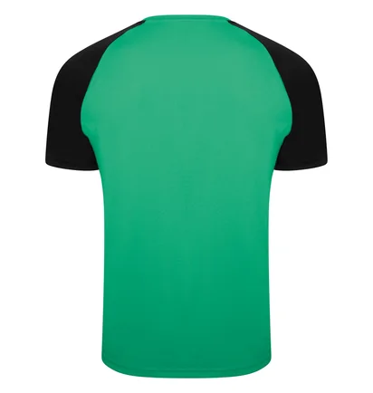 Футболка мужская Puma Teampacer Jersey Green 704919-05