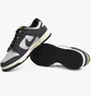 Кроссовки мужские Nike Dunk Low Next Nature Grey/White FZ4621-001