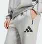 Спортивний костюм чоловічий Adidas Z.N.E. Grey JF2446__JF2450