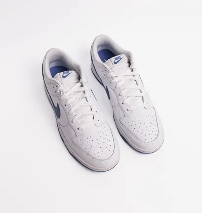 Кросівки чоловічі Nike Dunk Low Retro White DV0831-104