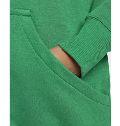Худи женское Nike Sportswear Phoenix Fleece Oversized Pullover Hoodie Green Dq5860-365