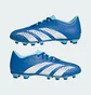 Бутсы унисекс Adidas Predator Accuracy.4 Fg Blue GZ0010
