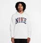 Худи мужское Nike Club Fleece Brushed-Back Hoodie White FV4447-100